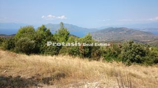Αγροτεμάχια 6.206 τ.μ. για πώληση, Εύβοια, Αιδηψός-thumb-13