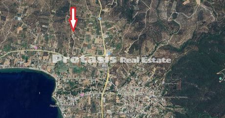 Αγροτεμάχια 5.988,7τ.μ. για πώληση-Αιδηψός