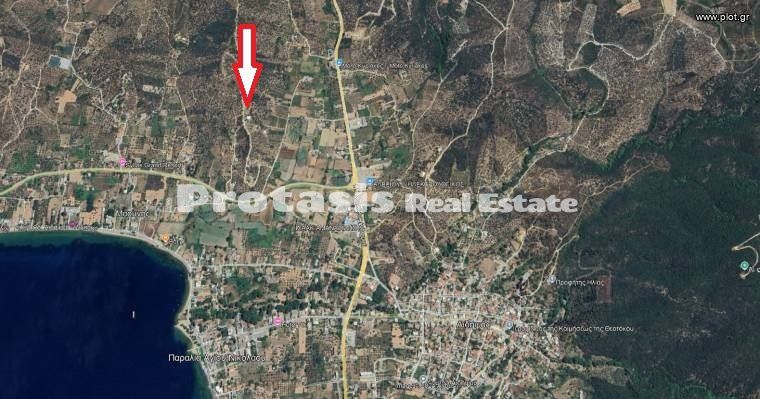 Αγροτεμάχια 5.988,70 τ.μ. για πώληση, Εύβοια, Αιδηψός