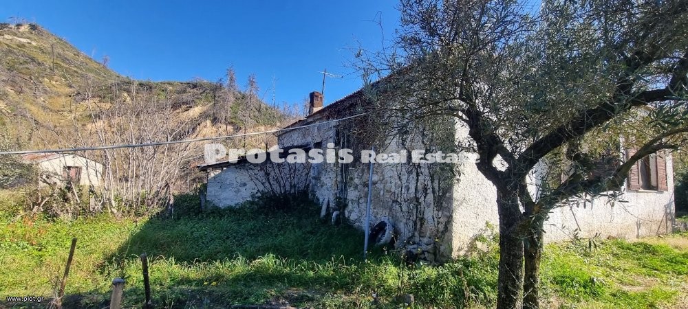 Μονοκατοικία 104,66 τ.μ. προς πώληση, Ιστιαία