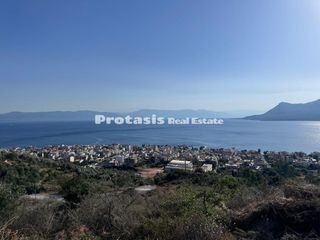 Αγροτεμάχια 7.558 τ.μ. για πώληση