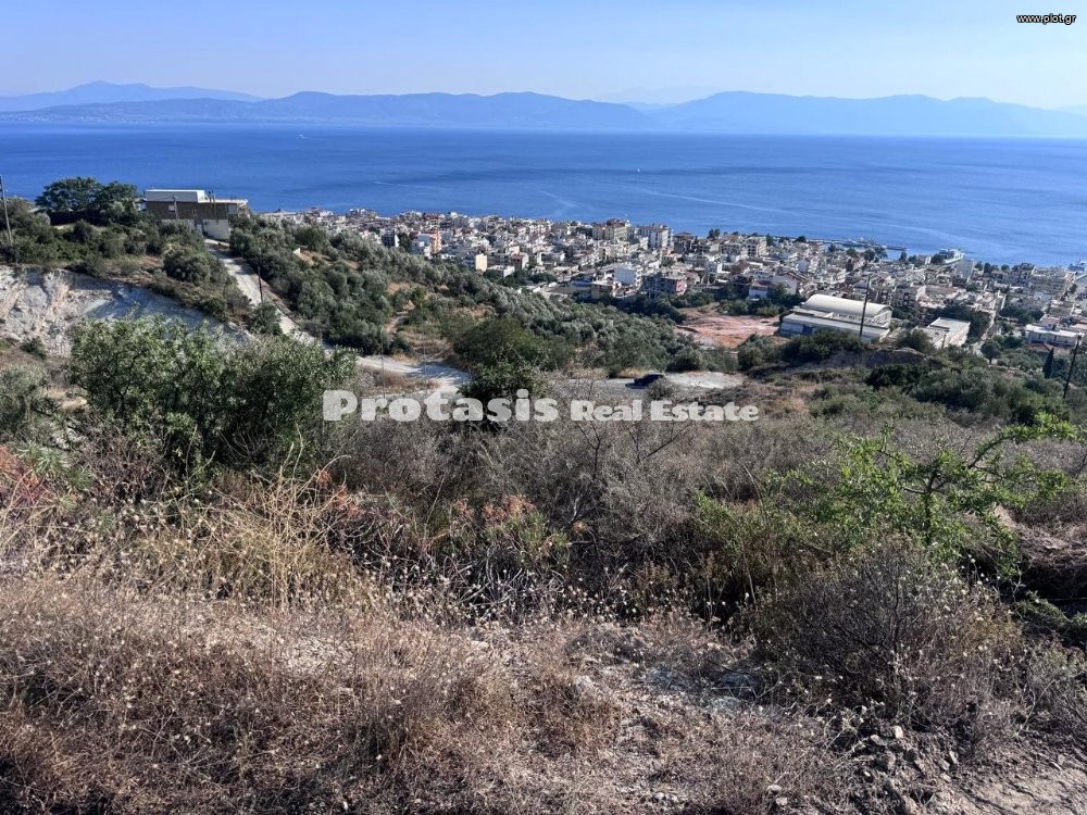 Αγροτεμάχια 7.558 τ.μ. προς πώληση, Λουτρά Αιδηψού