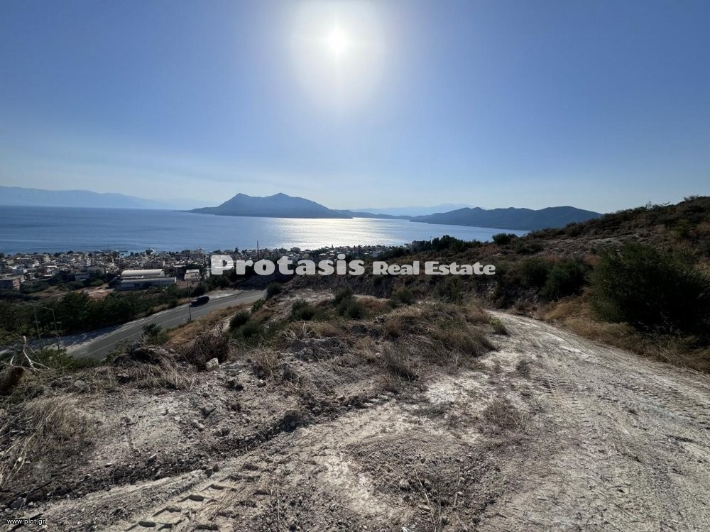 Αγροτεμάχια 7.558 τ.μ. προς πώληση, Λουτρά Αιδηψού