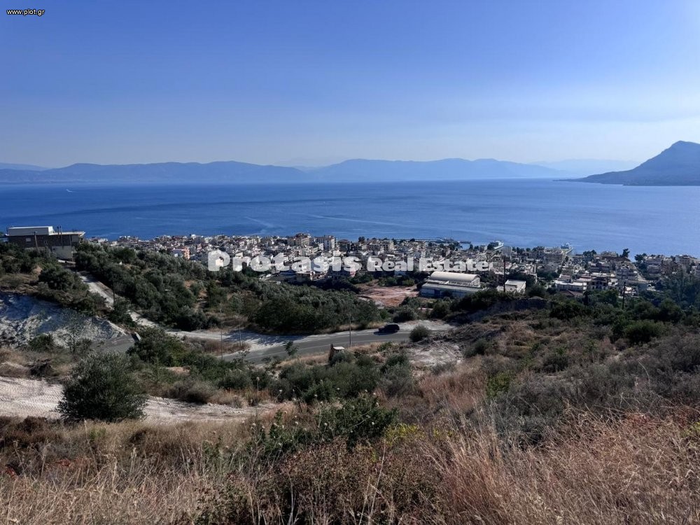Αγροτεμάχια 7.558 τ.μ. προς πώληση, Λουτρά Αιδηψού