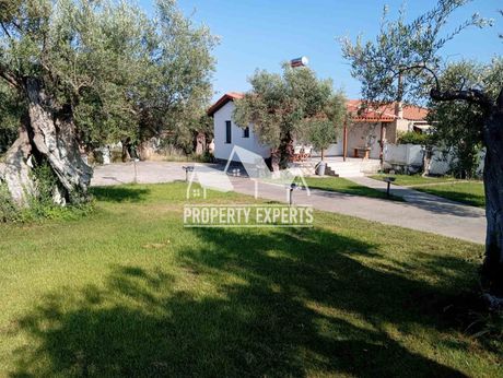 Μονοκατοικία 60τ.μ. για πώληση-Αλεξανδρούπολη » Μάκρη