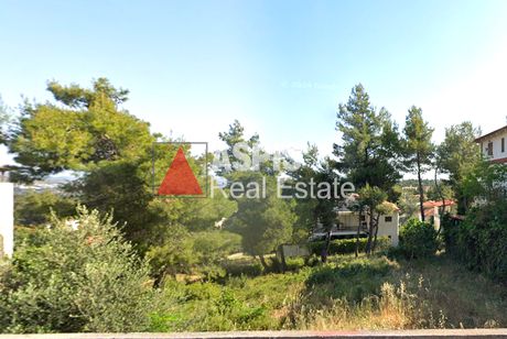 Land plot 600sqm for sale-Drosia