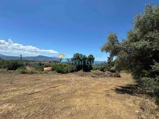 Οικόπεδο 4.500 τ.μ. για πώληση, Αχαΐα, Φαρές-thumb-9