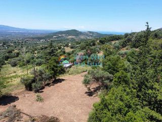 Οικόπεδο 4.500 τ.μ. για πώληση, Αχαΐα, Φαρές-thumb-1
