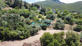 Οικόπεδο 4.500 τ.μ. για πώληση, Αχαΐα, Φαρές-thumb-3