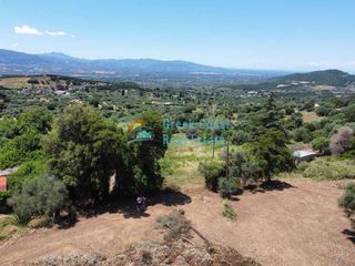 Οικόπεδο 4.500 τ.μ. για πώληση, Αχαΐα, Φαρές-thumb-4