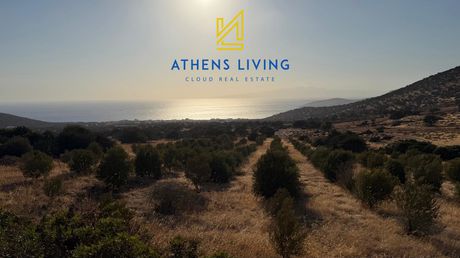 Parcel 169.000 sqm for sale
