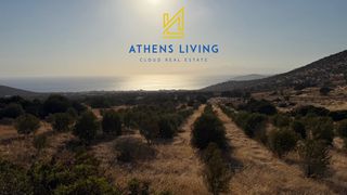 Αγροτεμάχια 169.000 τ.μ. για πώληση