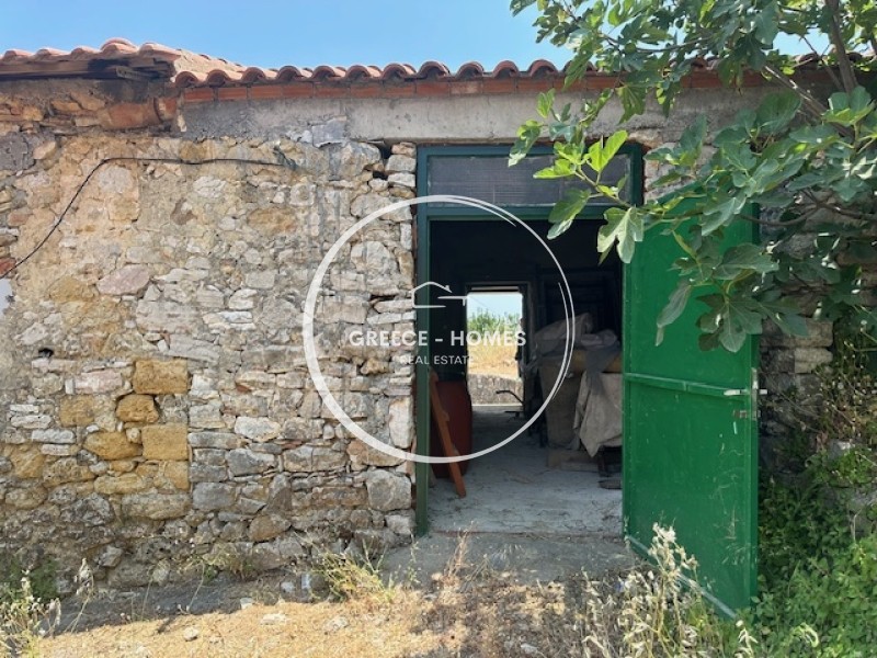 Μονοκατοικία 66 τ.μ. προς πώληση, Καστανιά Πεταλιδίου