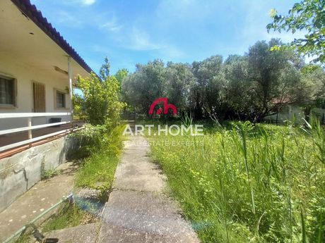Αγροτεμάχια 670τ.μ. για πώληση-Τριγλία » Παραλία νέας τριγλίας