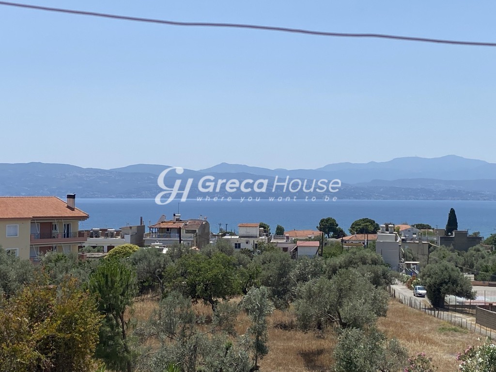 Βίλλα 300 τ.μ. πρός πώληση, Εύβοια, Αμάρυνθος