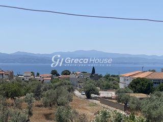 Βίλλα 300 τ.μ. προς πώληση, Γαλάζια Νερά-thumb-9