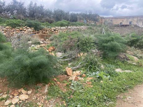 Land plot 303sqm for sale-Souda