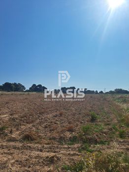 Parcel 7.200sqm for sale-Rafina
