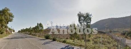 Οικόπεδο 12.500τ.μ. για ενοικίαση-Κερατέα » Πλάκα