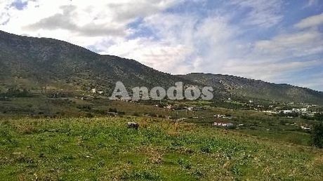 Οικόπεδο 31.000τ.μ. για πώληση-Κερατέα » Πλάκα
