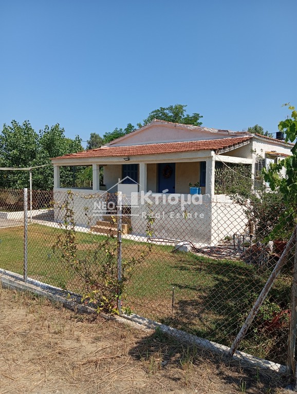 Μονοκατοικία 68 τ.μ. πρός ενοικίαση, Ν. Ηλείας, Πύργος
