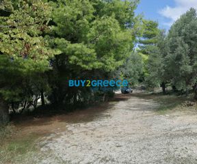Οικόπεδο 4.875 τ.μ. για πώληση, Ν. Λευκάδας, Λευκάδα-thumb-3