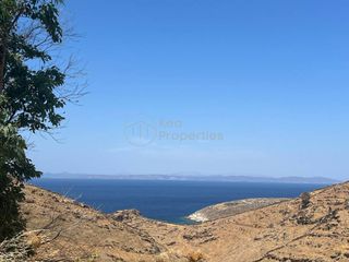 Αγροτεμάχια 4.000 τ.μ. για πώληση
