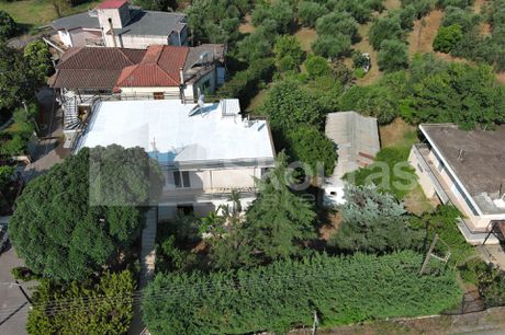 Μονοκατοικία 252τ.μ. για πώληση-Θουρία