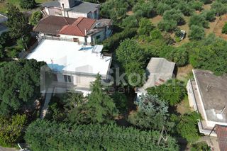 Μονοκατοικία 252 τ.μ. για πώληση, Μεσσηνία, Θουρία-thumb-3