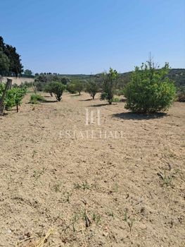 Οικόπεδο 689τ.μ. για πώληση-Επισκοπή » Κέντρο