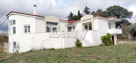 Detached home 430sqm for sale-Polidendri