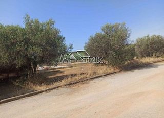 Οικόπεδο 896 τ.μ. για πώληση, Χαλκιδική, Πολύγυρος-thumb-5