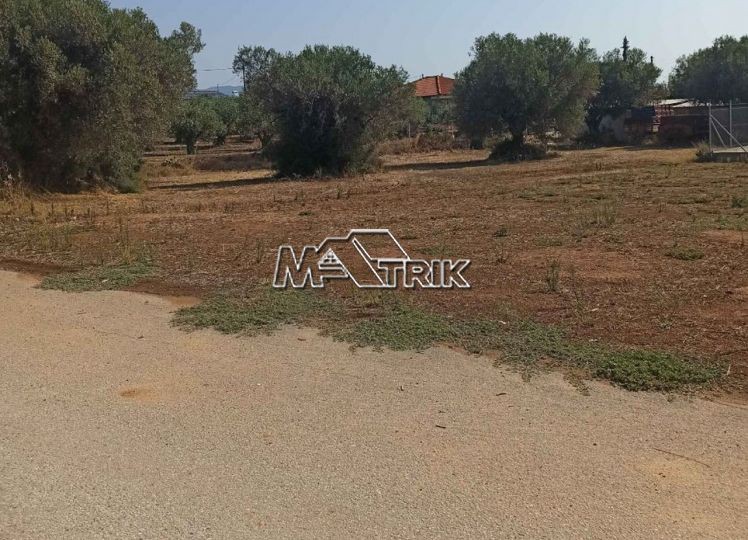 Οικόπεδο 896 τ.μ. προς πώληση, Όλυνθος