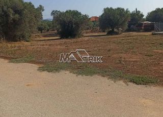 Οικόπεδο 896 τ.μ. για πώληση, Χαλκιδική, Πολύγυρος-thumb-4