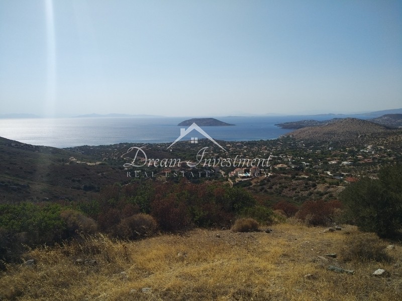 Αγροτεμάχια 7.700 τ.μ. πρός πώληση, Αττική - Υπόλοιπο, Παλαιά Φώκαια
