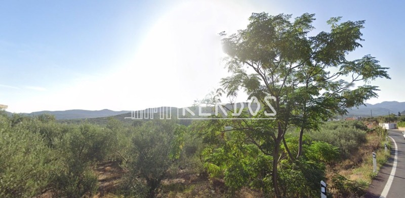 Οικόπεδο 1.592 τ.μ. προς πώληση, Κορφαλώνας