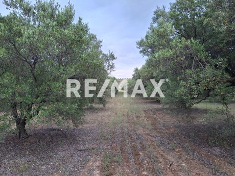 Parcel 3.120sqm for sale-Kallikrateia » Lakkoma
