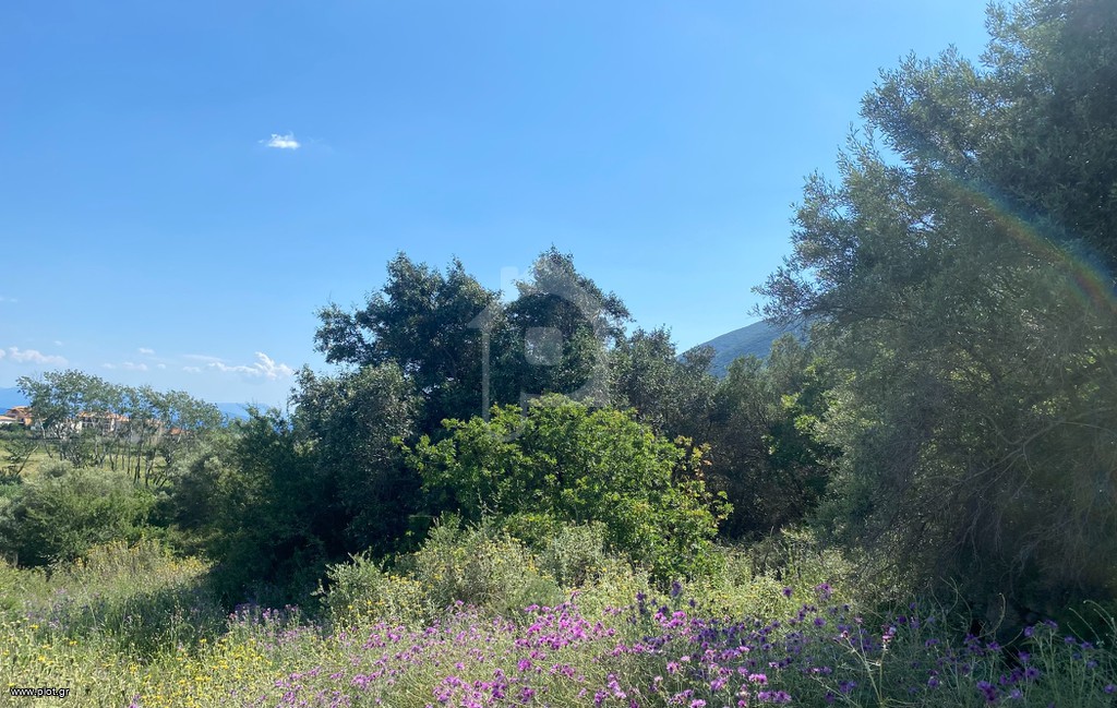 Αγροτεμάχια 2.607 τ.μ. προς πώληση, Απολλώνιο