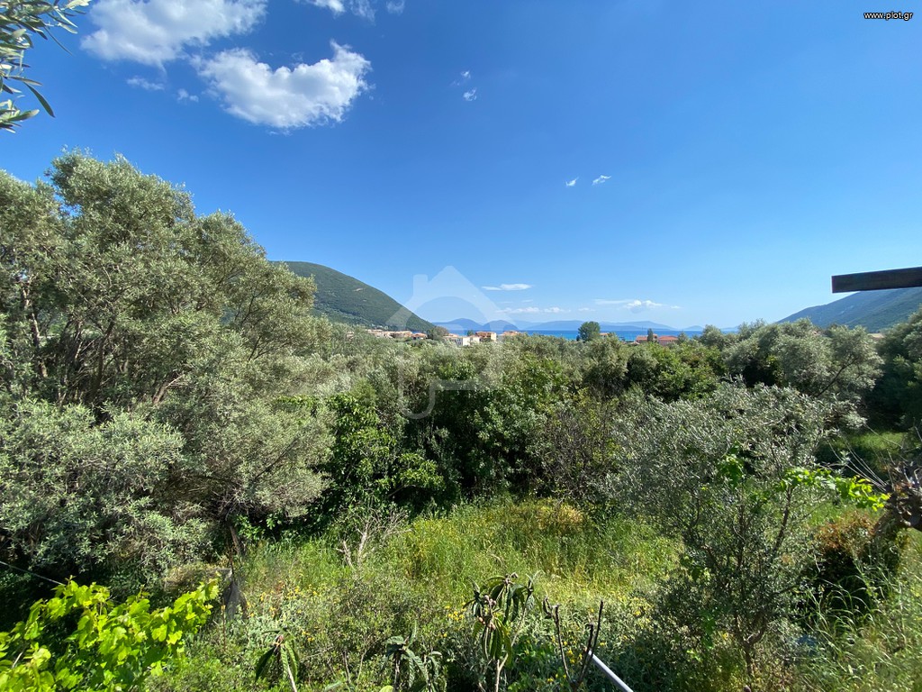 Αγροτεμάχια 2.607 τ.μ. προς πώληση, Απολλώνιο