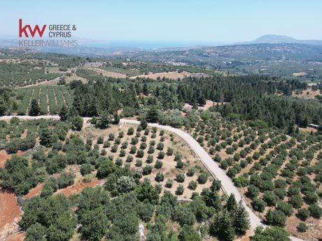 Land plot 4.355,95sqm for sale-Fre