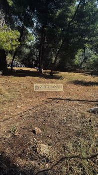 Οικόπεδο 500τ.μ. για πώληση-Νέα μάκρη