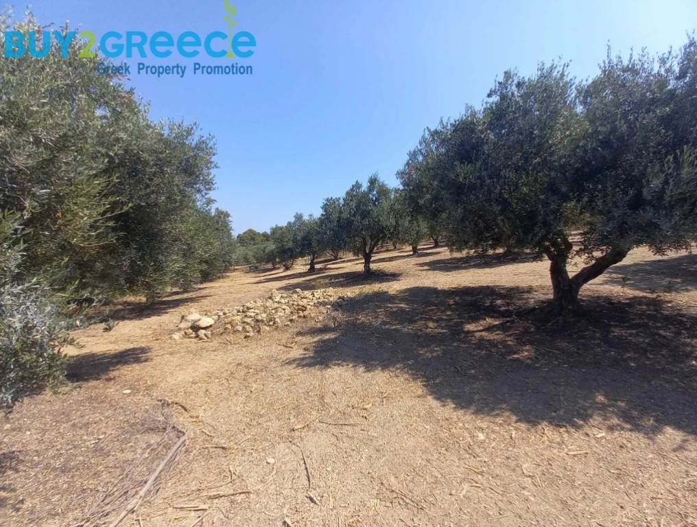 Οικόπεδο 6.607 τ.μ. προς πώληση, Σπηλιά Ηρακλείου
