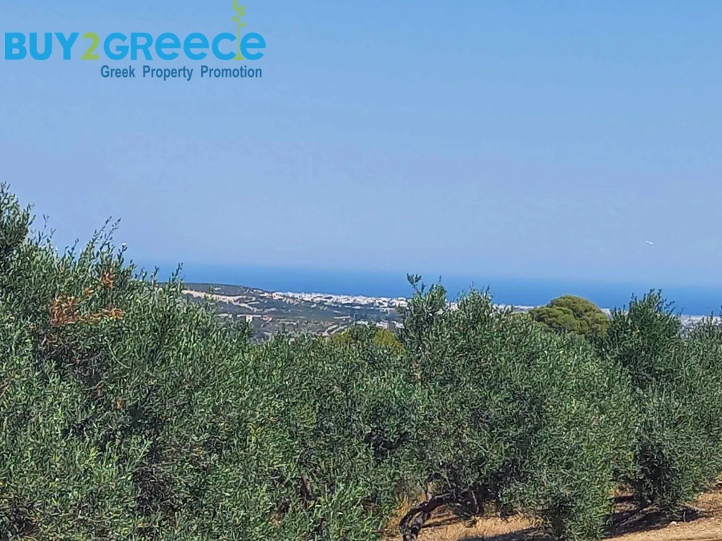 Οικόπεδο 6.607 τ.μ. προς πώληση, Σπηλιά Ηρακλείου