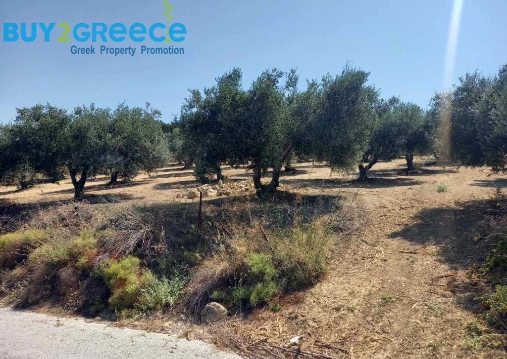 Οικόπεδο 6.607 τ.μ. προς πώληση, Σπηλιά Ηρακλείου