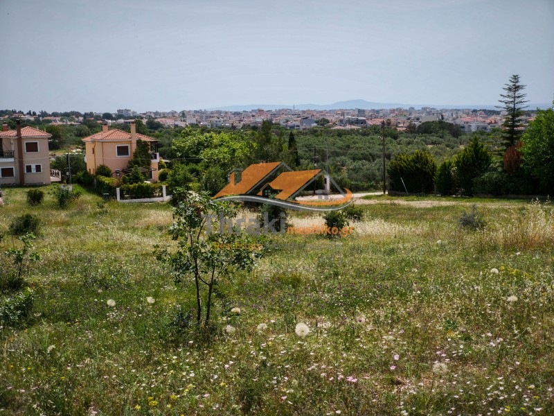 Αγροτεμάχια 4.800 τ.μ. προς πώληση, Πανόραμα Αλεξανδρούπολης