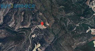 Αγροτεμάχια 16.248 τ.μ. για πώληση, Κορινθία, Νεμέα-thumb-14