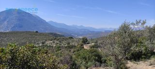 Αγροτεμάχια 16.248 τ.μ. για πώληση, Κορινθία, Νεμέα-thumb-10