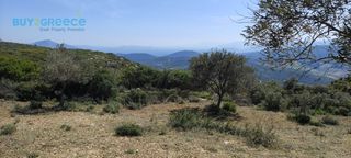 Αγροτεμάχια 16.248 τ.μ. για πώληση, Κορινθία, Νεμέα-thumb-4