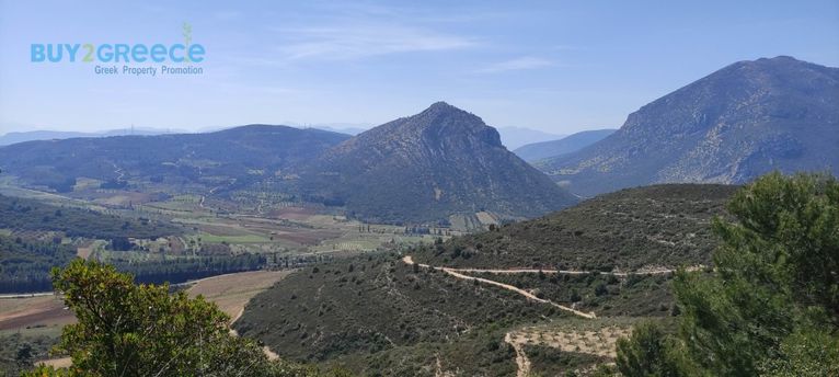 Parcel 16.248 sqm for sale, Corinthia, Nemea
