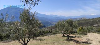 Αγροτεμάχια 16.248 τ.μ. για πώληση, Κορινθία, Νεμέα-thumb-6